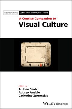 portada A Concise Companion to Visual Culture (en Inglés)