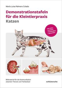 portada Demonstrationstafeln für die Kleintierpraxis Katzen (en Alemán)