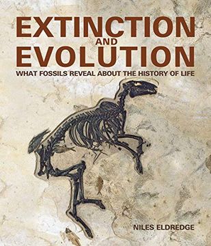 portada Extinction and Evolution: What Fossils Reveal About the History of Life 