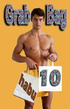 portada Grab Bag 10: A Gay Erotica Anthology (en Inglés)