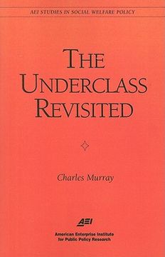 portada the underclass revisited