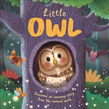 portada Nature Stories: Little Owl-Discover an Amazing Story From the Natural World: Padded Board Book (in English)