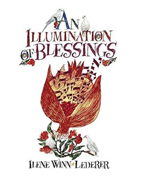 portada An Illumination Of Blessings