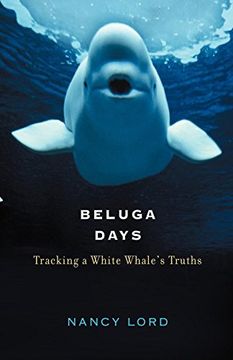 portada Beluga Days: Tracking a White Whale's Truths (in English)