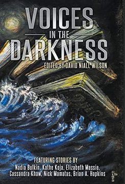 portada Voices in the Darkness (in English)