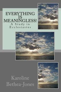 portada Everything Is Meaningless!: A Study in Ecclesiastes (en Inglés)