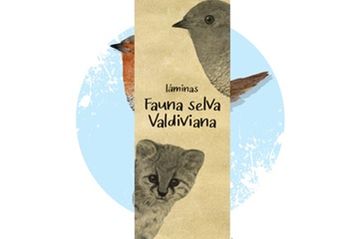 portada Láminas Ilustradas Fauna Selva Valdiviana (en Inglésespañol)