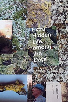 portada Extra Hidden Life, Among the Days (in English)