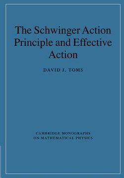 portada The Schwinger Action Principle and Effective Action Paperback (Cambridge Monographs on Mathematical Physics) (en Inglés)