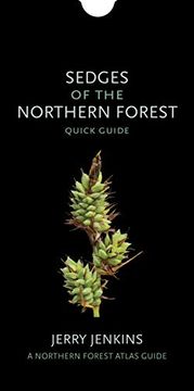portada Sedges of the Northern Forest: Quick Guide (The Northern Forest Atlas Guides) (en Inglés)