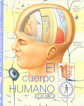portada Cuerpo Humano el (Td)-Minipracticos- (in Spanish)