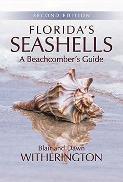 portada Florida's Seashells: A Beachcomber's Guide (en Inglés)
