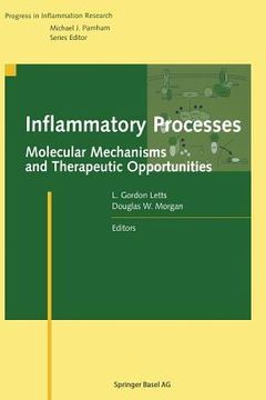 portada Inflammatory Processes:: Molecular Mechanisms and Therapeutic Opportunities (en Inglés)