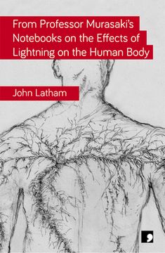 From Professor Murasaki's Notebooks on the Effects of Lightning on the Human Body (en Inglés)