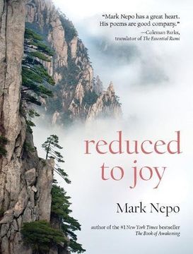 portada Reduced to joy (in English)
