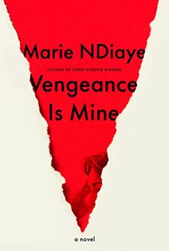 portada Vengeance is Mine: A Novel (in English)