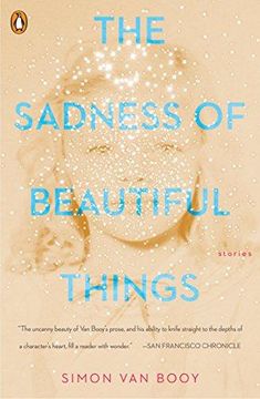 portada The Sadness of Beautiful Things: Stories (in English)