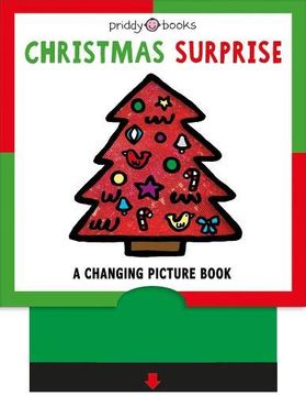 portada Christmas Surprise (en Inglés)