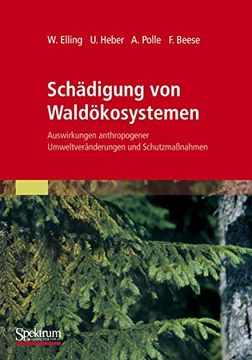 portada Schädigung von Waldökosystemen: Auswirkungen Anthropogener Umweltveränderungen und Schutzmaßnahmen (en Alemán)