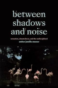 portada Between Shadows and Noise: Sensation, Situatedness, and the Undisciplined (in English)
