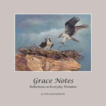 portada Grace Notes: Reflections on Everyday Wonders (en Inglés)