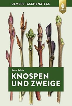 portada Knospen und Zweige (Taschenatlanten) (en Alemán)