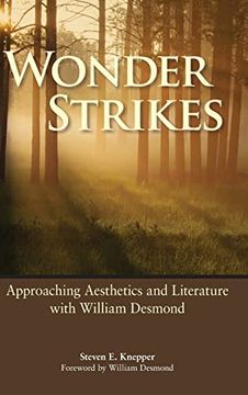 portada Wonder Strikes: Approaching Aesthetics and Literature With William Desmond (en Inglés)