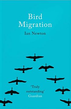 portada Bird Migration 