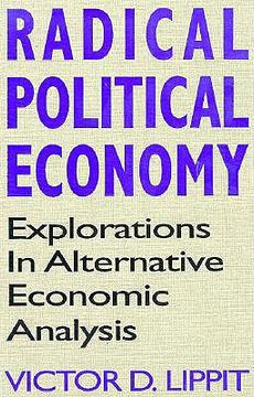 portada radical political economy: explorations in alternative economic analysis (en Inglés)