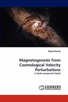 portada magnetogenesis from cosmological velocity perturbations (en Inglés)