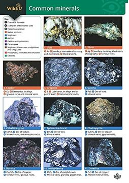 portada Guide to Common Minerals (en Inglés)
