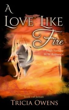 portada A Love Like Fire: High Fantasy M/M Romance (en Inglés)