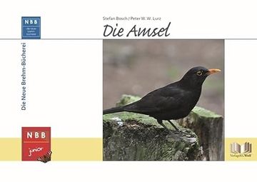 portada Die Amsel (Nbb Junior) (en Alemán)