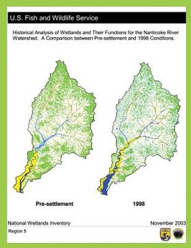 portada Historical Analysis of Wetlands and Their Functions For the Nanticoke River Watershed: A Comparison between Pre-settlement and 1998 Conditions (in English)