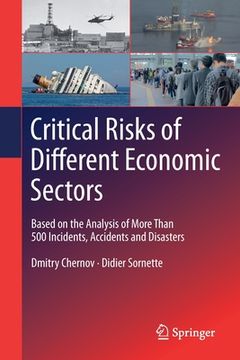 portada Critical Risks of Different Economic Sectors: Based on the Analysis of More Than 500 Incidents, Accidents and Disasters (en Inglés)