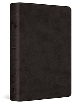portada Esv Pocket Bible (en Inglés)