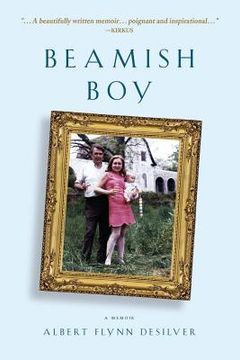 portada beamish boy (i am not my story): a memoir of recovery & awakening
