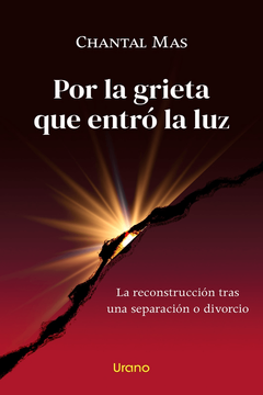 portada POR LA GRIETA QUE ENTRO LA LUZ (MEX)