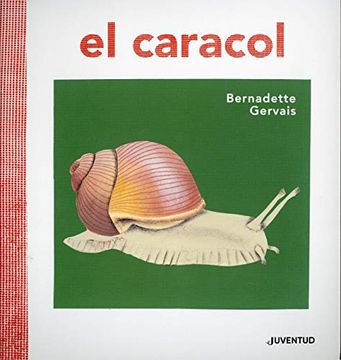 portada El Caracol (Conocer y Comprender) (in Spanish)