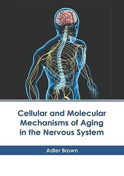 portada Cellular and Molecular Mechanisms of Aging in the Nervous System (en Inglés)