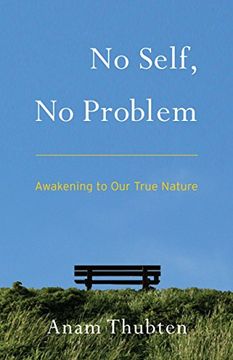 portada No Self, no Problem: Awakening to our True Nature (in English)
