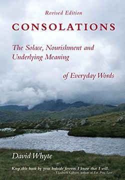 portada Consolations: The Solace, Nourishment and Underlying Meaning of Everyday Words