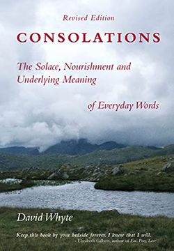 portada Consolations: The Solace, Nourishment and Underlying Meaning of Everyday Words (in English)