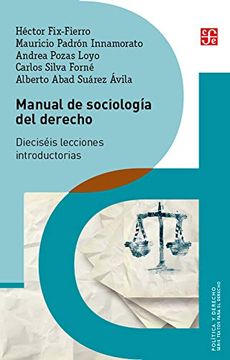 portada Manual de Sociologia del Derecho: Dieciseis Lecciones Introductorias (Política y Derecho
