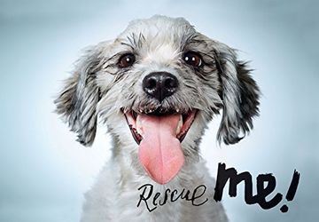 portada Rescue Me: Dog Adoption Portraits and Stories from New York City