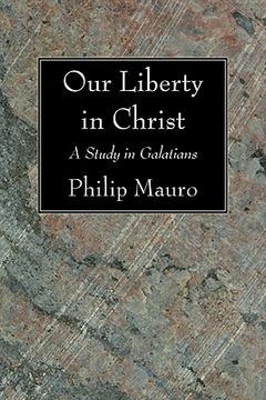 portada our liberty in christ: a study in galatians (en Inglés)