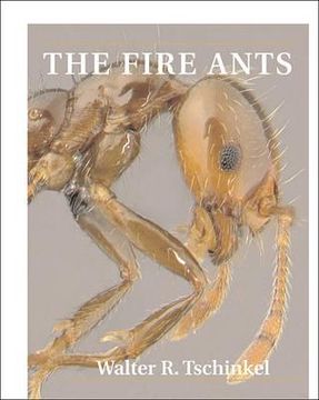 portada the fire ants (en Inglés)