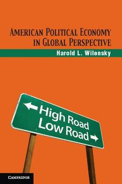portada american political economy in global perspective
