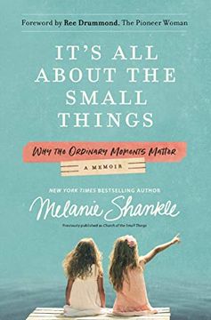 portada It's all About the Small Things: Why the Ordinary Moments Matter (en Inglés)