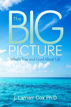 portada the big picture (en Inglés)